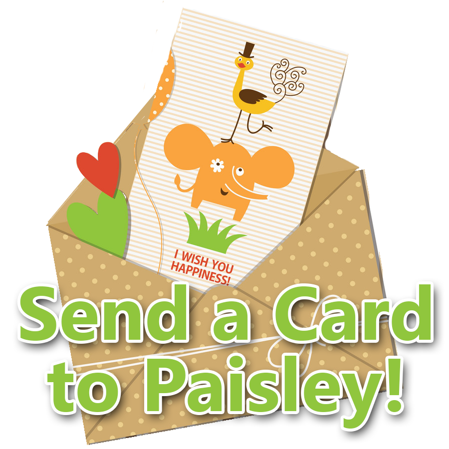 Send a Card to Paisley