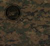 Paper, Camo Woodland Seal (200), 12x12