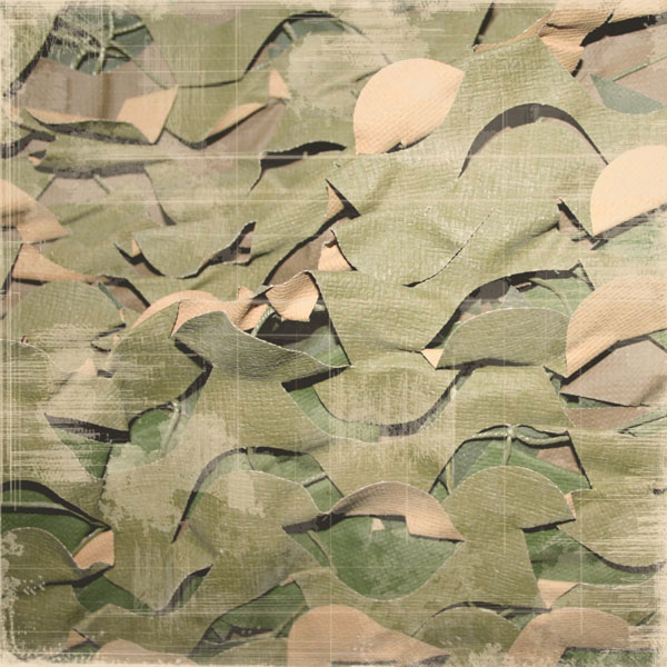 Paper, Camoflauge Net, 12x12