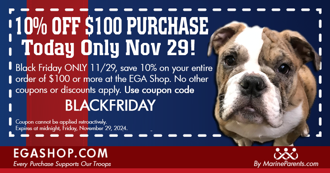 10% OFF $100 Order! BLACK FRIDAY ONLY