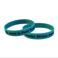 Wristband: Post Traumatic Stress Awareness (June)