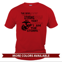 _T-Shirt (Unisex): I Am The Storm