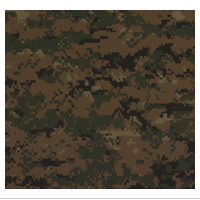 Paper, Camo Woodland Plain (201), 12x12